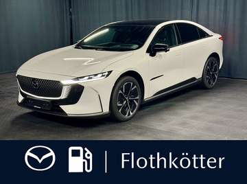 258PS TAKUMI*LEDER-S*PANO