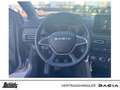 Dacia Sandero TCe 90 Expression KLIMA KAMERA SITZHEIZUNG LED BC Grau - thumbnail 11