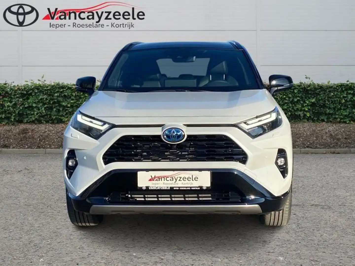 Toyota RAV 4 Style Plus+coldpack+360°cam+na Wit - 2
