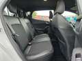 Ford Fiesta 1.0 EcoBoost Active |CLIMA|CRUISE|NAVI|PDC|LMV Wit - thumbnail 14