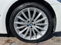 BMW 520 d 190cv X-Drive Automatica Luxury Blanc - thumbnail 8