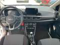 Kia Picanto 1.0 Vision *Kamera*Navi*sofort verfügbar* Weiß - thumbnail 7