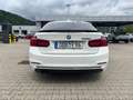 BMW 335 d xDrive Aut. Sport Line Weiß - thumbnail 6
