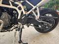 Triumph Tiger 900 Rally Pro Verde - thumbnail 12