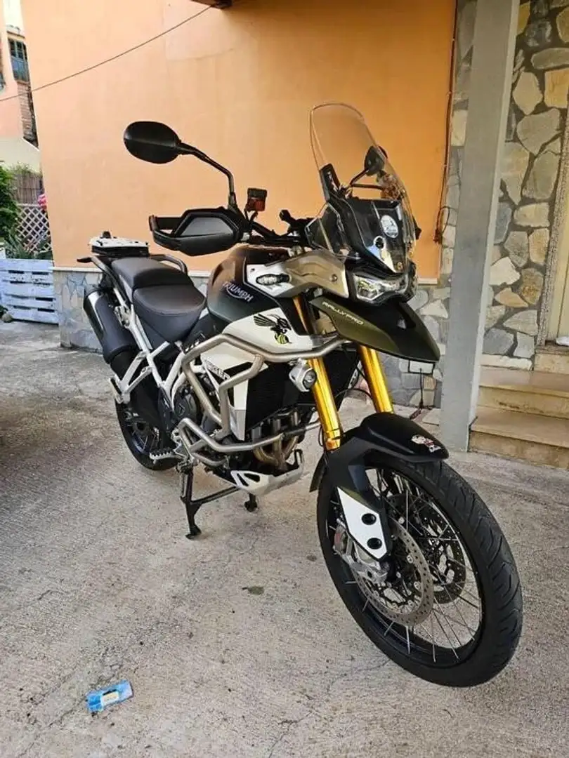 Triumph Tiger 900 Rally Pro Verde - 2