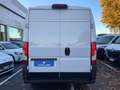 Fiat Ducato Ducato 295 Maxi 35 E6 LH2 2.3 mjt 130cv E6 Wit - thumbnail 7
