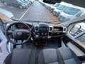Fiat Ducato Ducato 295 Maxi 35 E6 LH2 2.3 mjt 130cv E6 Wit - thumbnail 14