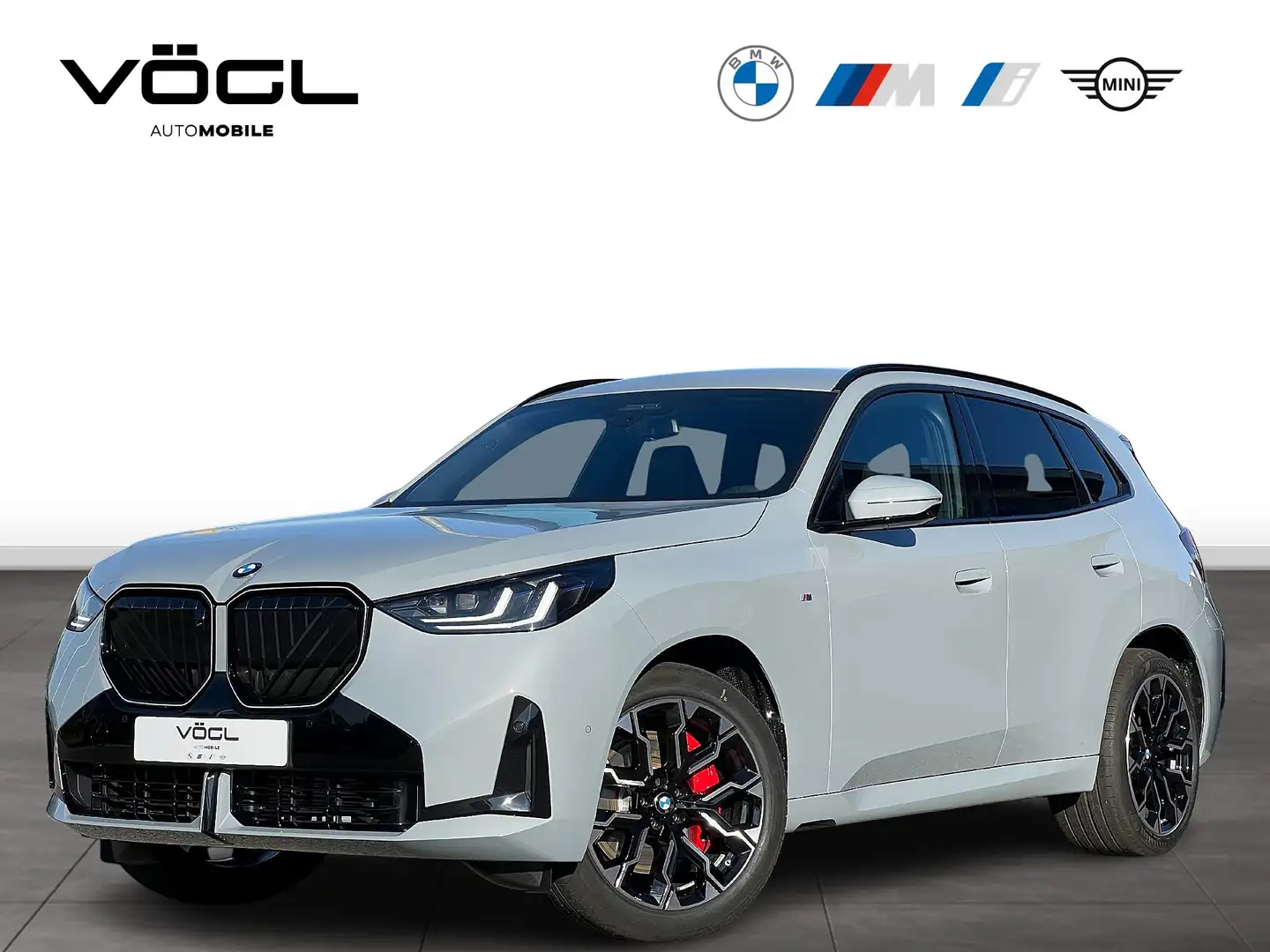 BMW X3 40d xDrive M Sportpaket HK HiFi DAB LED RFK Grau - 1