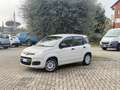 Fiat Panda 1.2 Pop 69cv Beige - thumbnail 3