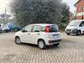 Fiat Panda 1.2 Pop 69cv Beige - thumbnail 6