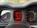 Fiat Panda 1.2 Pop 69cv Beige - thumbnail 11