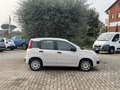 Fiat Panda 1.2 Pop 69cv Beige - thumbnail 7