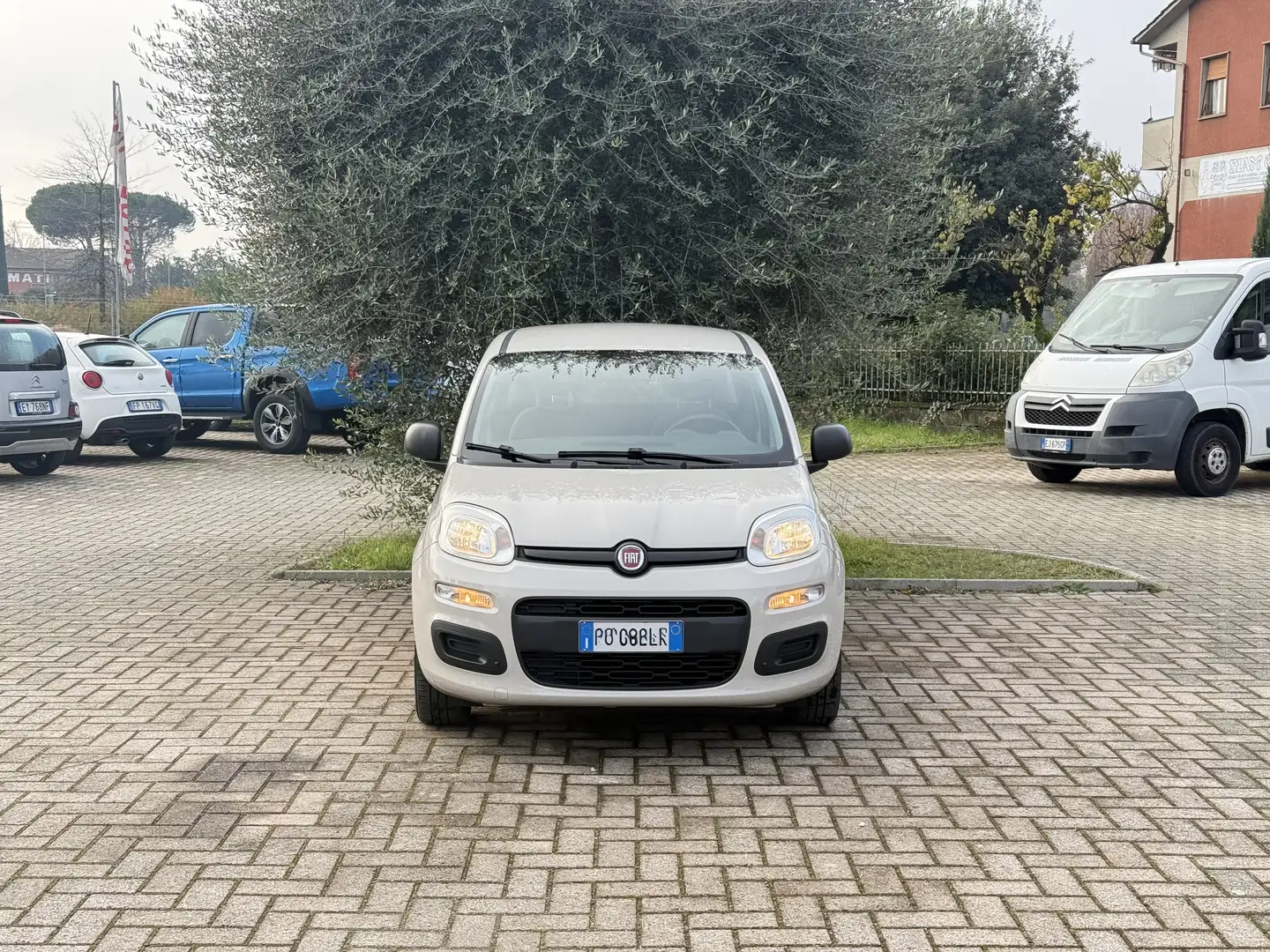 Fiat Panda 1.2 Pop 69cv Beige - 2