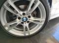 BMW 316 d Msport TAGLIANDI BMW! Blanco - thumbnail 23