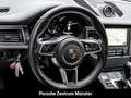 Porsche Macan GTS BOSE Rückfahrkamera Panoramadach Weiß - thumbnail 16