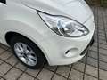 Ford Ka/Ka+ Champions Edition/Sitzheiz./Klim./Orig.28.000 bijela - thumbnail 4