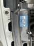 Ford Ka/Ka+ Champions Edition/Sitzheiz./Klim./Orig.28.000 Blanco - thumbnail 22