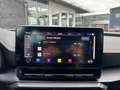CUPRA Formentor 4Drive 2.0 TDI AHK Beats eSitz Kamera 5JG. Noir - thumbnail 31