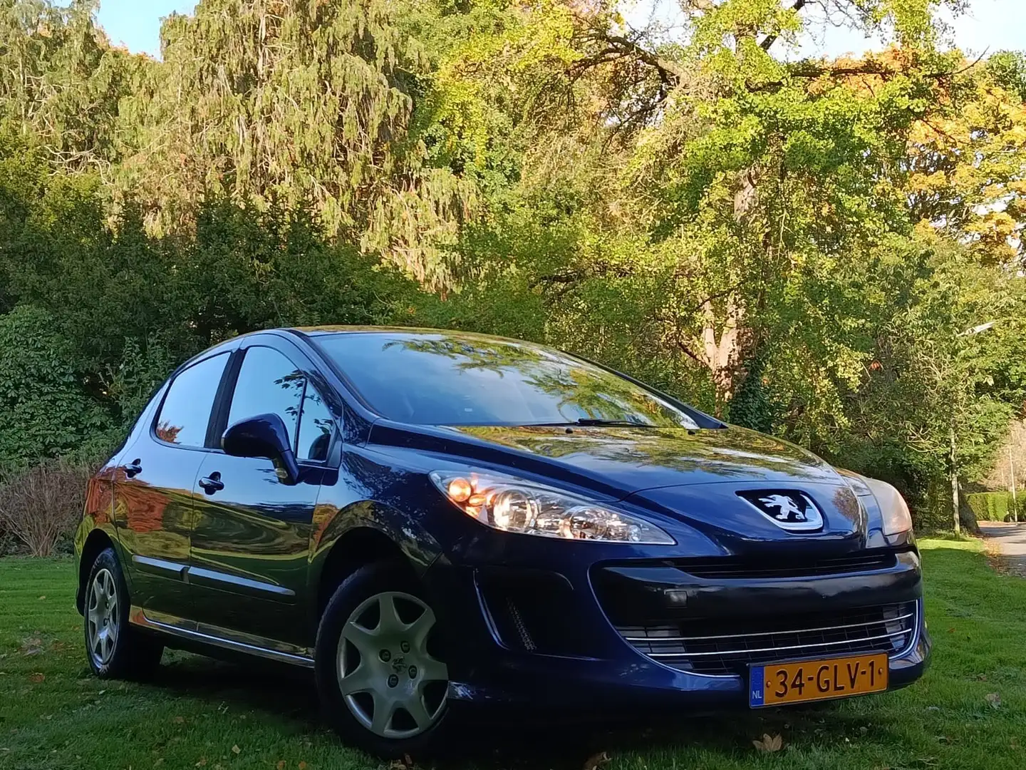 Peugeot 3008 Te koop: een Peugeot 308 - 1
