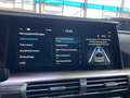 Hyundai NEXO LED Leder ACC Navi R.Cam SHZ BLIS PDC DAB+ Blau - thumbnail 23