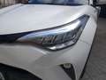Toyota C-HR Hybrid Advance Blanco - thumbnail 20