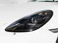 Porsche 718 2.0 Cayman PDK - IVA Esposta Weiß - thumbnail 21