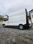 Renault Trafic 1.6 DCI Hochdach, Lang  Nettopreis 14900€ Weiß - thumbnail 2