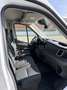 Ford E-Transit E 350 L2 Trend H3 Blanco - thumbnail 7