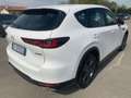 Mazda CX-60 CX-60 3.3 m-hybrid boost Exclusive Line - GT976SS Bianco - thumbnail 6