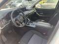 Mazda CX-60 CX-60 3.3 m-hybrid boost Exclusive Line - GT976SS Bianco - thumbnail 12