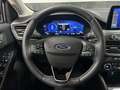 Ford Focus Sportbreak 2.0Ecoblue Titanium Gris - thumbnail 29