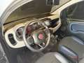 Fiat Panda Cross 1.0 FireFly Hybrid Grau - thumbnail 10