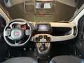 Fiat Panda Cross 1.0 FireFly Hybrid Grau - thumbnail 13