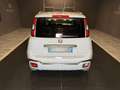 Fiat Panda Cross 1.0 FireFly Hybrid Grau - thumbnail 6