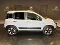 Fiat Panda Cross 1.0 FireFly Hybrid Grau - thumbnail 4