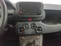 Fiat Panda Panda 1.0 FireFly S&S Hybrid Icon Rosso - thumbnail 7