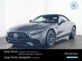 Mercedes-Benz SL 43 AMG SL 43 AMG DISTRO+360°+MEMORY+AIRSCARF+KEYLESS-GO Grau - thumbnail 1