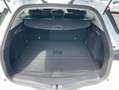 Renault Megane IV ESTATE BLUE DCI 115 BUSINESS Bianco - thumbnail 11