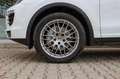 Porsche Cayenne S Diesel/ LUFTFAHR. PASM / PDLS+/ BOSE Weiß - thumbnail 30