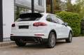 Porsche Cayenne S Diesel/ LUFTFAHR. PASM / PDLS+/ BOSE Weiß - thumbnail 5