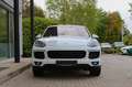 Porsche Cayenne S Diesel/ LUFTFAHR. PASM / PDLS+/ BOSE Weiß - thumbnail 2
