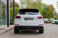 Porsche Cayenne S Diesel/ LUFTFAHR. PASM / PDLS+/ BOSE Weiß - thumbnail 6