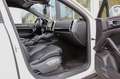Porsche Cayenne S Diesel/ LUFTFAHR. PASM / PDLS+/ BOSE Weiß - thumbnail 16