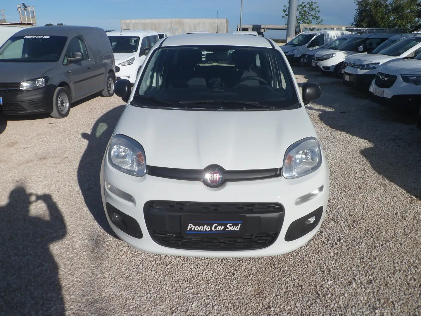 Fiat Panda 5 posti autocarro Bianco - 2