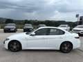 Alfa Romeo Giulia 2,2 136 RTW Weiß - thumbnail 24