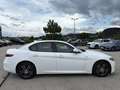 Alfa Romeo Giulia 2,2 136 RTW Weiß - thumbnail 23