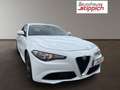Alfa Romeo Giulia 2,2 136 RTW Weiß - thumbnail 21