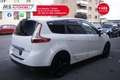Renault Scenic Renault Scénic 1.5 dCi 110CV EDC Energy 7 Posti U Bianco - thumbnail 13