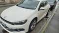 Volkswagen Scirocco Scirocco III 2008 2.0 tdi dsg Bianco - thumbnail 1