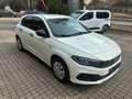 Fiat Tipo FireFly Turbo 100 City Sport *RFK*SZH*LED* Weiß - thumbnail 1
